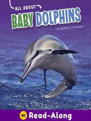 cover image of All About Baby Dolphins